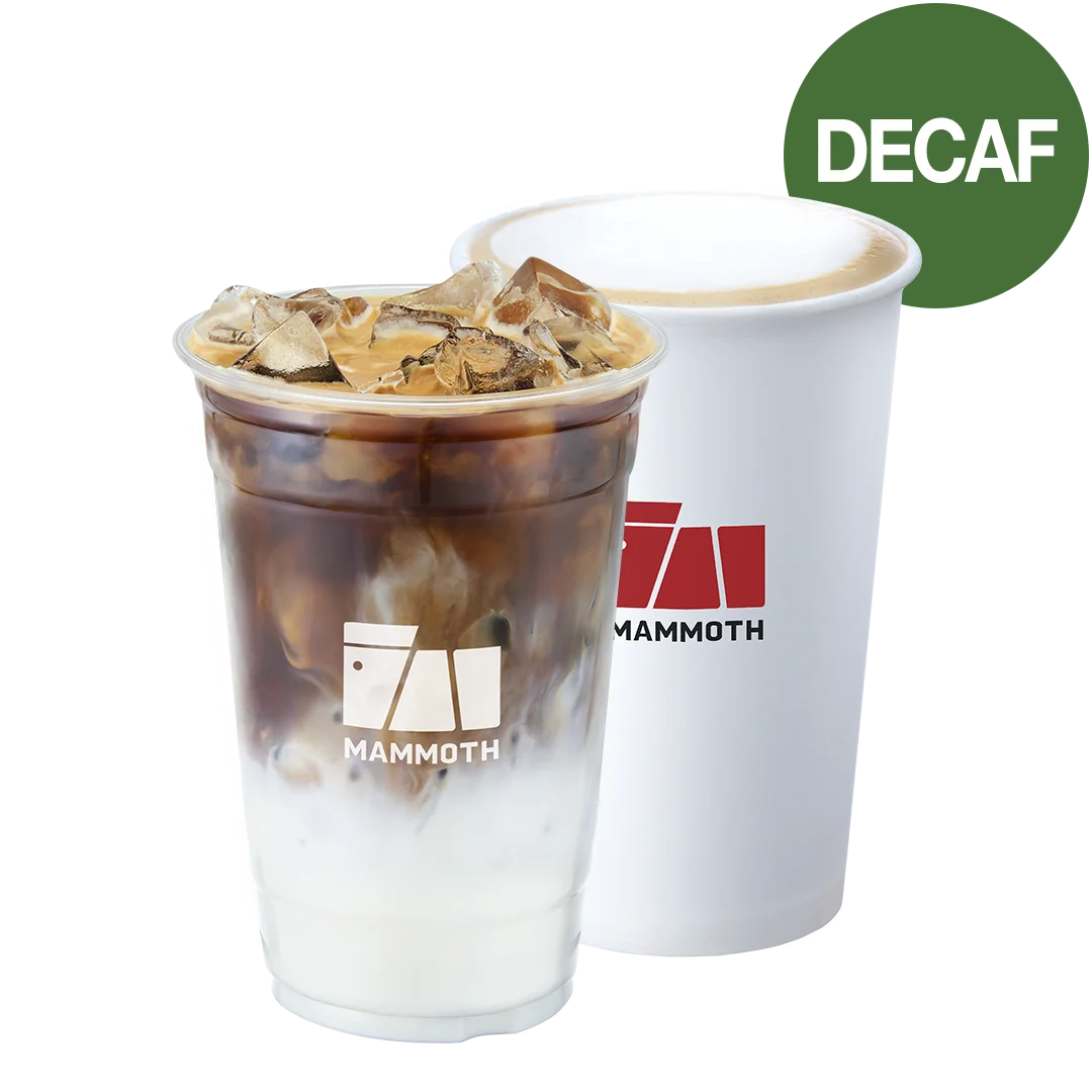 디카페인 시그니처 라떼