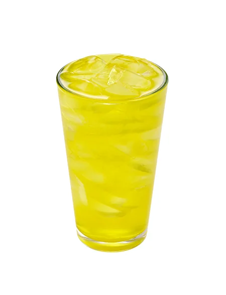 콤부차 샤인머스캣(ICED)